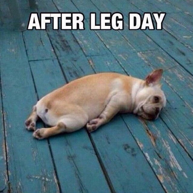 Why Are My Legs So Sore After Leg Workout