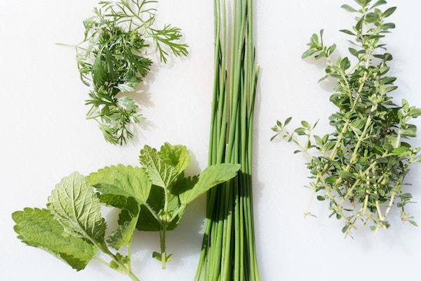 Fresh herbs for salad