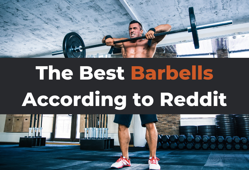 The 3 Best Barbells According To Reddit - Trusty Spotter