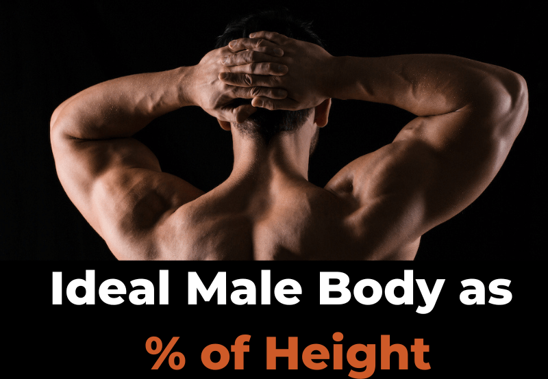 What Are The Ideal Body Measurements?